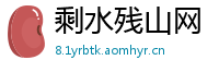 剩水残山网